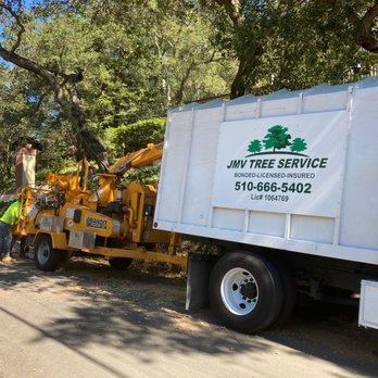 JMV Tree Service - Tree Services Near Me - Hayward, California