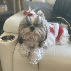 Rooted IV and Wellness - Miss Percy