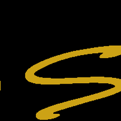 Main Line Vision