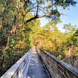 Richardson Historic Park and Nature Preserve