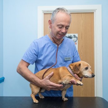 Shearbridge Veterinary Centre - Veterinarians Near Me - Bradford, XWY