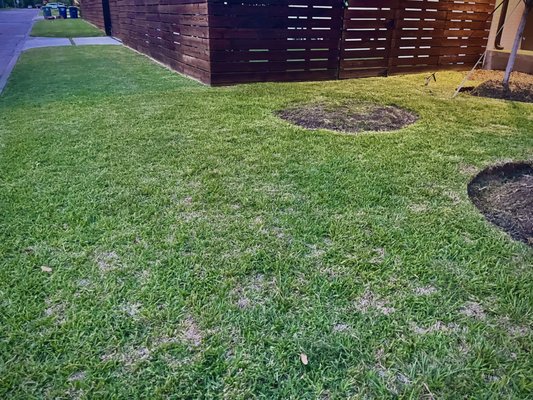 Recent Happy Customer near Preston Hollow Area in Dallas - New Customer requested bi-weekly services for Lawn Mowing, edging, trimming and cleanup with commercial air blowers.
We love to see our customers enjoying their lawn !!

We accept cash, Zelle or convenient online payments. 
Need a mow?  Text us your address for a free estimate or visit us online. 

Www.DallasMowingSolutions.com