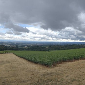 Domaine Drouhin Oregon - Wine Tasting Room Near Me - Dayton, Oregon