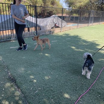 Better K9 Pet Resort - Riverside Location - Pet Training Near Me - Riverside, California