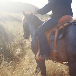 Lincoln County beach and trail rides