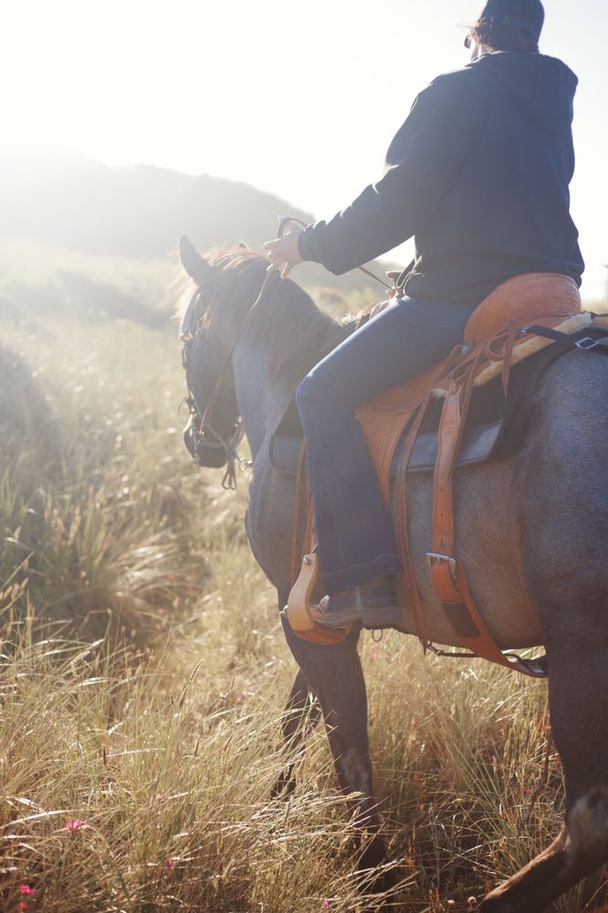 Lincoln County beach and trail rides Logo
