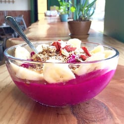 Vibe Health Bar - Dragon Bowl