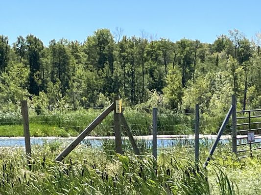 Elk Island National Park by null