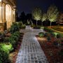 Photo of Delight Landscape