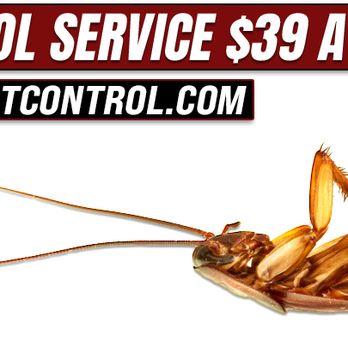 Pathfinder Pest Control - Pest Control Near Me Pathfinder Pest Control - Pest Control Near Me