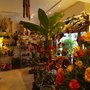 Photo of Los Girasoles