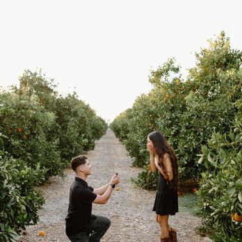 Adelyn Beltran Photography - Event Photography Near Me Adelyn Beltran Photography - Event Photography Near Me