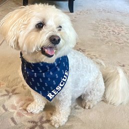 Prior to his grooming