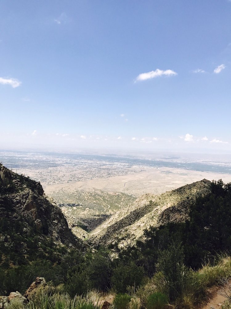 LA LUZ TRAIL Updated May 2024 151 Photos & 29 Reviews 333 Forest