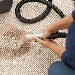 Excellent Carpet Cleaning