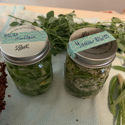 Herbal Goddess Healing - Tinctures!