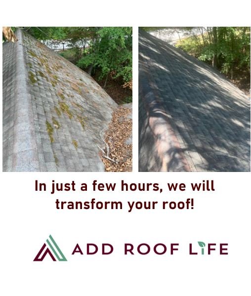 Slide of Add Roof Life