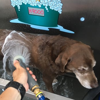 Sandy Paws Dog Wash - Pet Groomers Near Me - Huntington Beach, California Sandy Paws Dog Wash - Pet Groomers Near Me - Huntington Beach, California