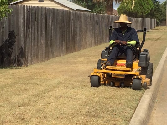 Best Cut Lawn Care