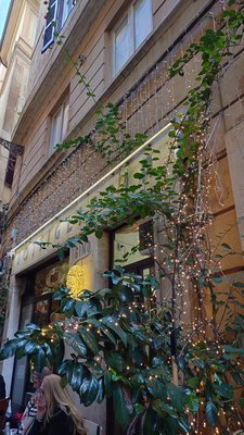 Da Gino al Parlamento by null
