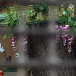 El Jardinet dels Gats - No sé si se aprecia mucho, pero es el cartel de "El jardinet dels gats" :)