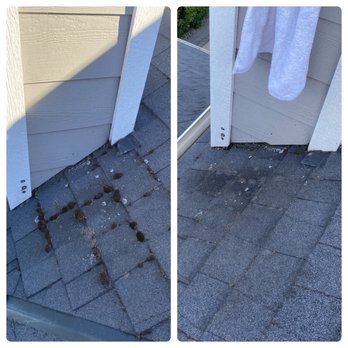 Pure Water Okanagan - Moss removal - Window Washing Near Me Pure Water Okanagan - Moss removal - Window Washing Near Me