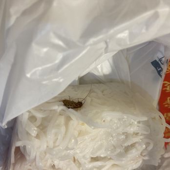 Viet-Thai - a bug in a bag of rice - Vietnamese Near Me - Lowell, Massachusetts Viet-Thai - a bug in a bag of rice - Vietnamese Near Me - Lowell, Massachusetts