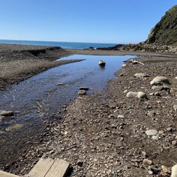 Goat Rock Beach