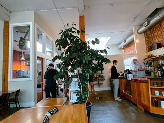 Victrola Coffee Roasters by null