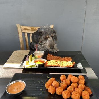 GuildHall - The chicken strips and the sweet potato tots are not consumed by the dog in the photo - Beer Bar Near Me - Burbank, California