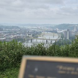 Point of View