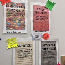 Austin Animal Center - Cute promotion of who's still looking for their furever home