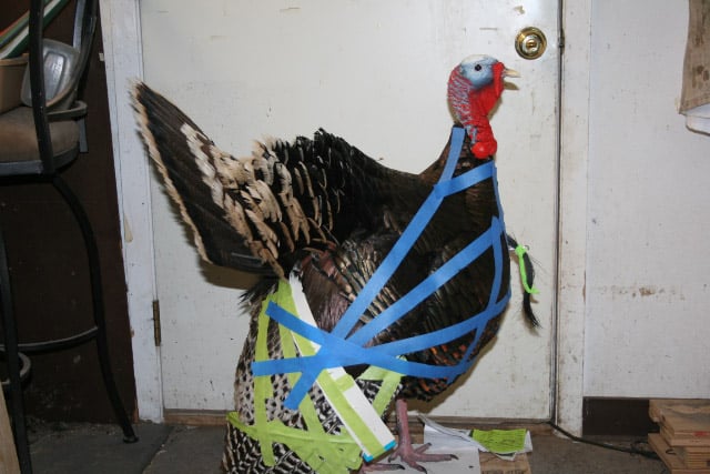 Cascade Taxidermy - taxidermy in Puyallup, WA