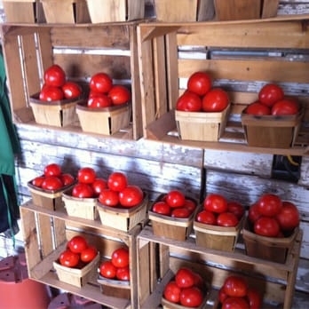 Green Acres - Tomatoes $4 a basket! They actually taste like tomatoes unlike the big supermarkets. - Farmers Market Near Me - Kenosha, Wisconsin