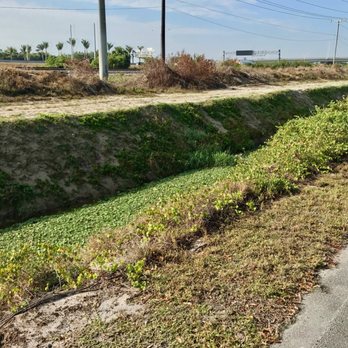 T-Rex Trail - Parks Near Me - Boca Raton, Florida