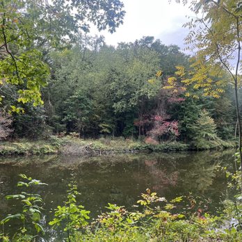 Smith College - Colleges & Universities Near Me - Northampton, Massachusetts
