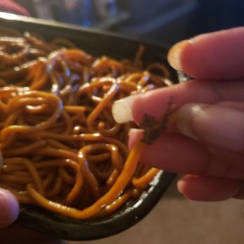 Happy Panda - It's a leaf in our lo mein noodles. - Chinese Near Me - Clarksville, Tennessee
