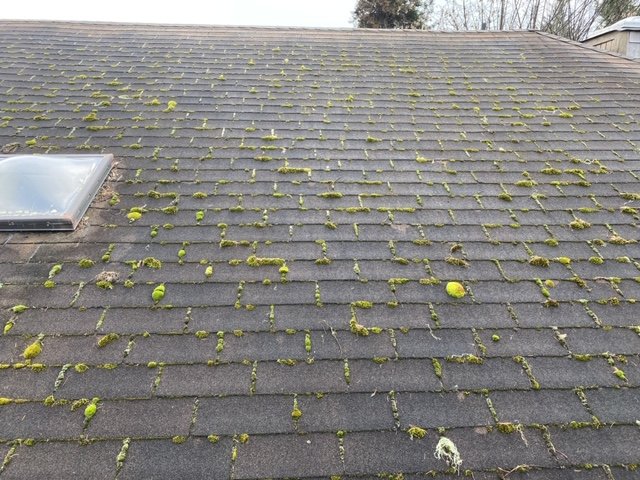 Slide of Corradini LLC Roof Restoration & Exteriors