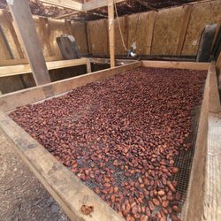 Donkey Mill Chocolate and Coffee Farm