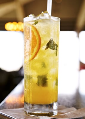 Skates On The Bay by null