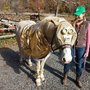 Photo of Sunset Valley Farm
