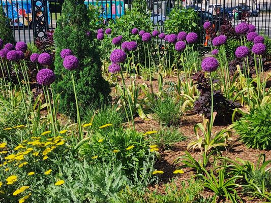 National Gallery of Art – Sculpture Garden by null
