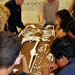 Valley Academy - Science students in their Forensics study