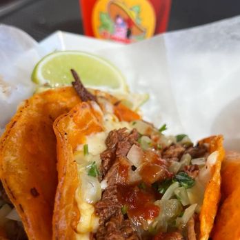 Jimmy's Tacos - Tacos Near Me - Tampa, Florida Jimmy's Tacos - Tacos Near Me - Tampa, Florida