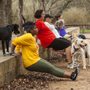 Photo of Go Fetch Run