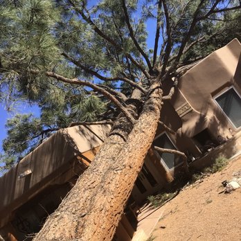 Monkey's Tree Services - Any emergency monkeys it's here - Tree Services Near Me - Albuquerque, New Mexico
