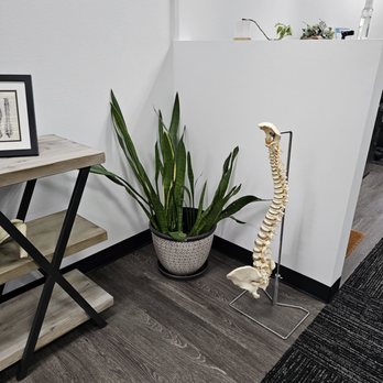 Brian N Forrest, DC - Chiropractors Near Me - Austin, Texas