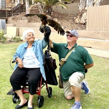 Catalina Falconry Experience - Active Life Near Me - Avalon, California Catalina Falconry Experience - Active Life Near Me - Avalon, California