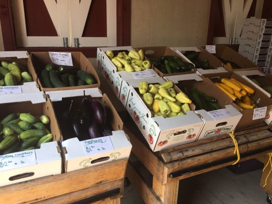 Lake Hills Farm Fresh Produce by null