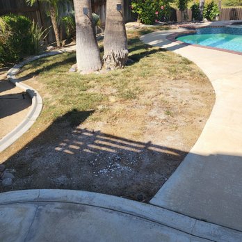 Homeowner Turf Direct - Our hideous lawn before - Artificial Turf Near Me - Lake Elsinore, California Homeowner Turf Direct - Our hideous lawn before - Artificial Turf Near Me - Lake Elsinore, California